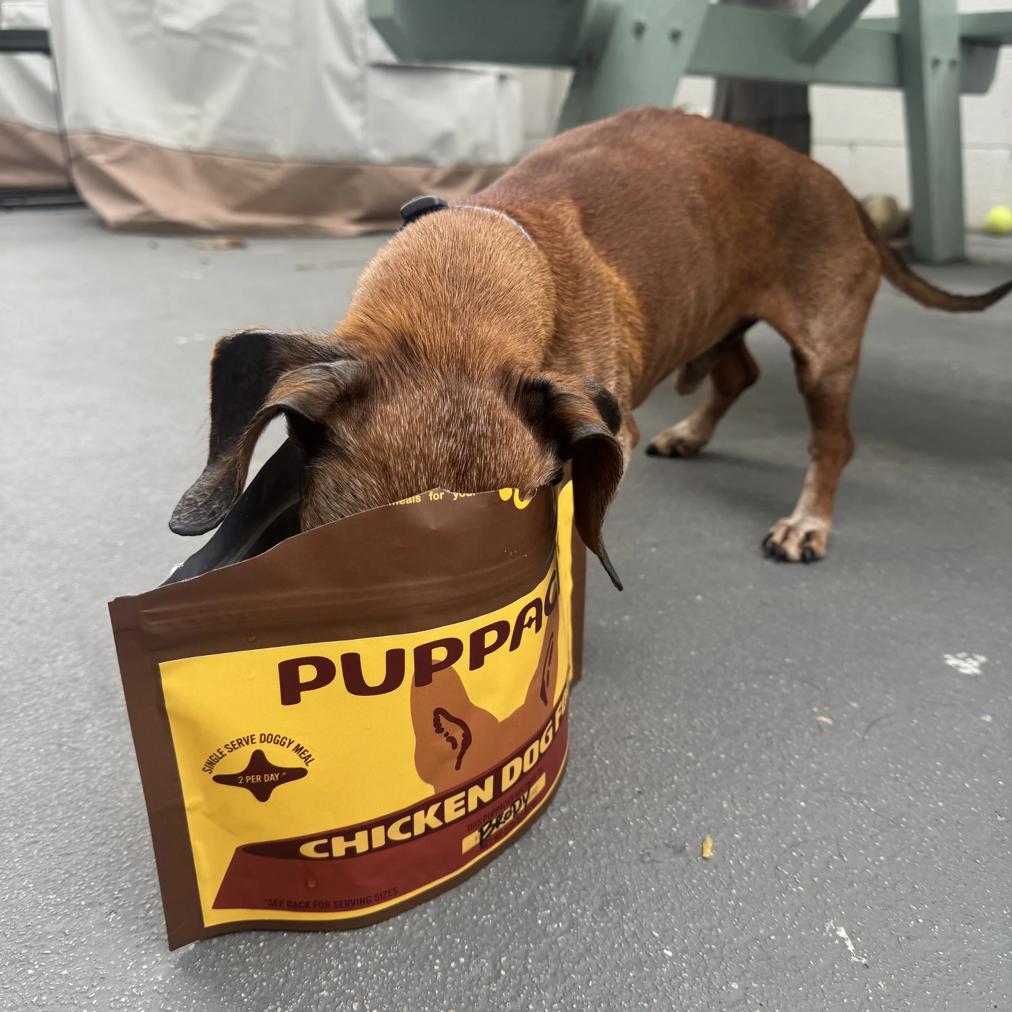 Chicken Dog Food by PUPPACKR - Image 5